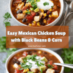 Mexican Chicken Soup Recipe