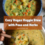 Easy Veggie Stew Recipe | Vegan Pea Soup Recipe