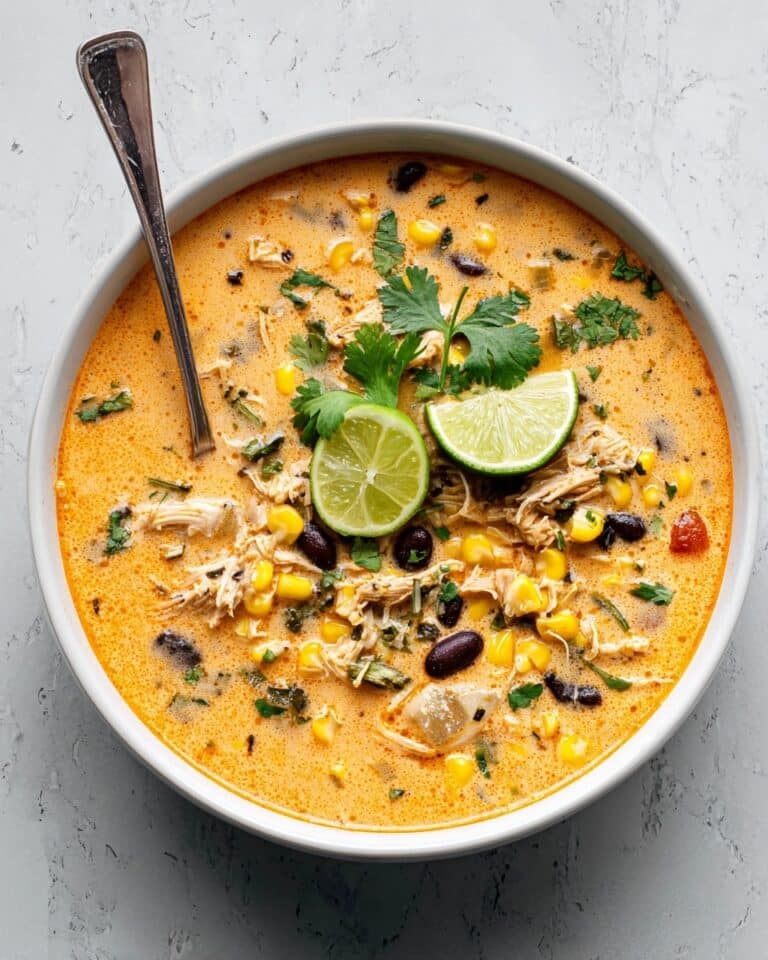 Easy Chicken, Poblano, and Black Bean Soup Recipe