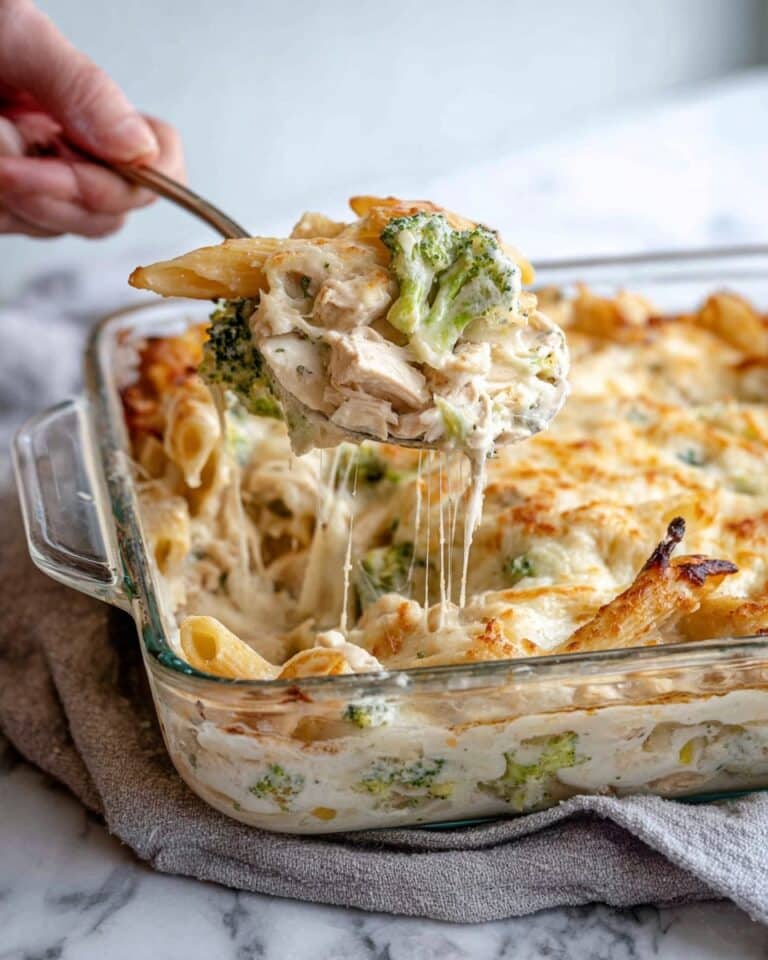 Chicken and Broccoli Alfredo Bake Recipe