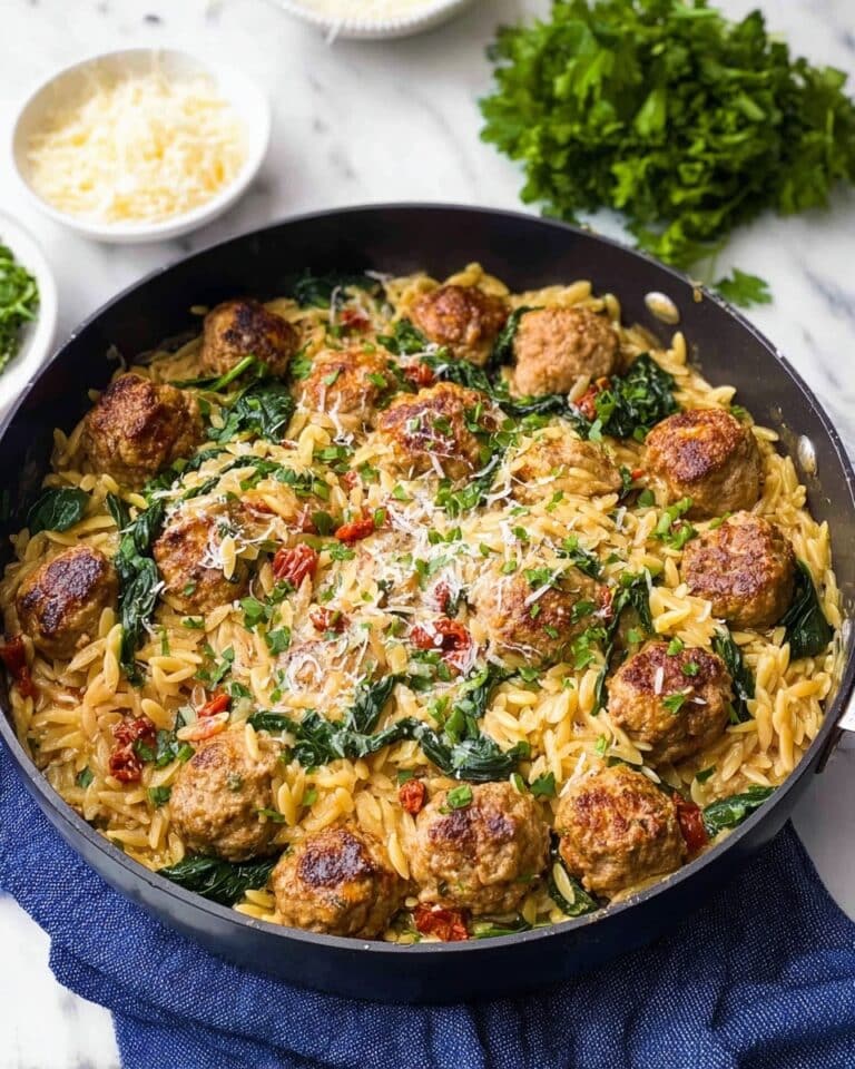 Tuscan Chicken Meatballs and Orzo Recipe