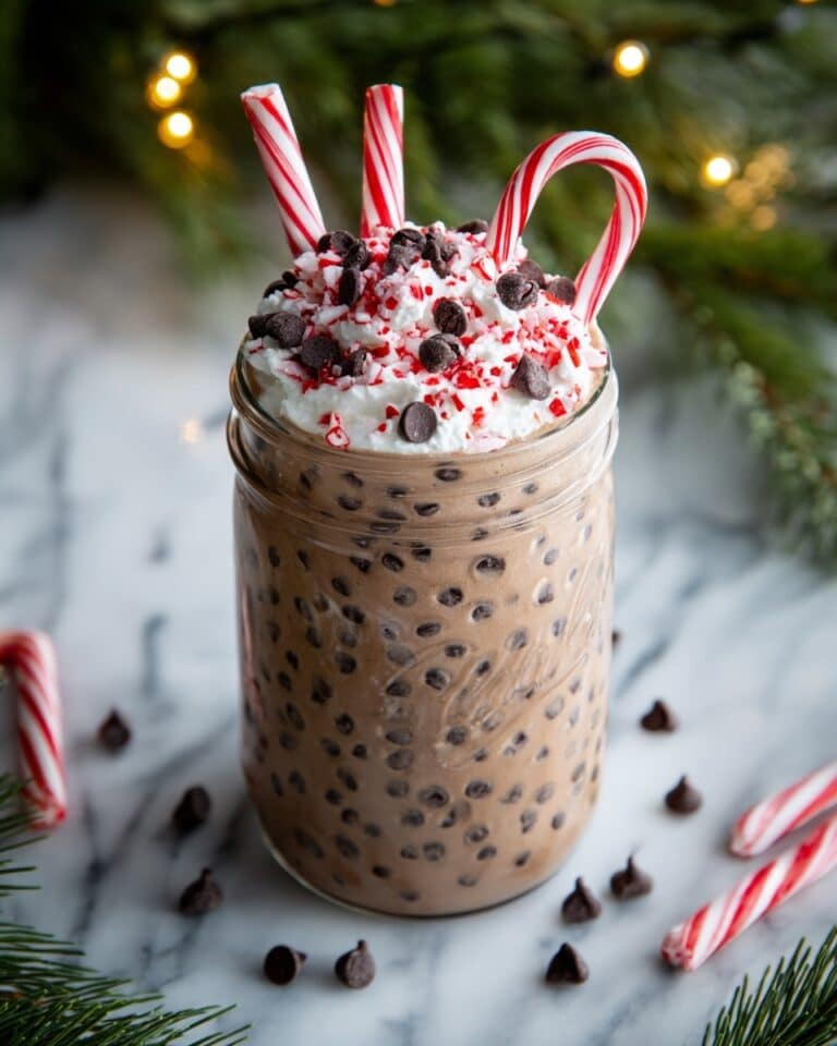 Peppermint Mocha Overnight Oats Recipe